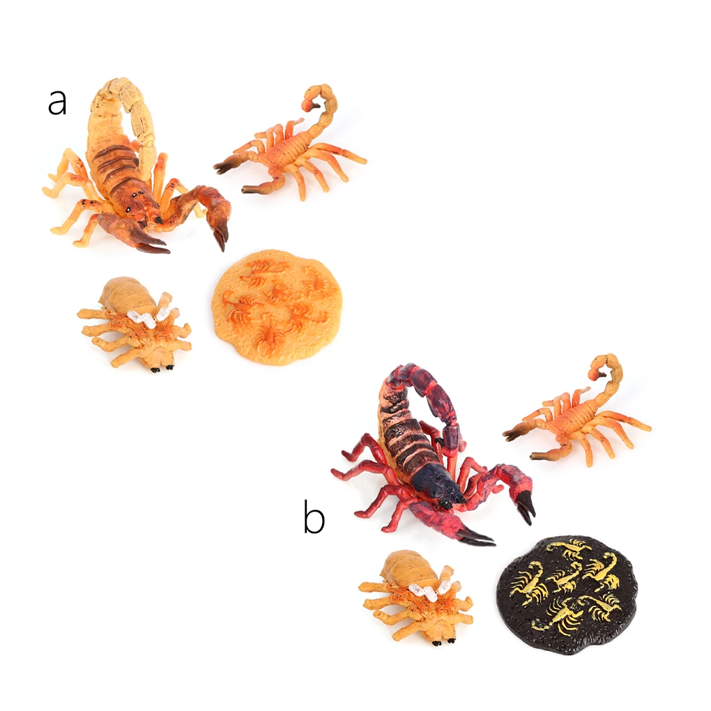 

1 набор игрушка жизненный цикл уникальные яркие развивающие игрушки реквизит Животные дисплей реквизит Скорпион модели для дома школы кори...