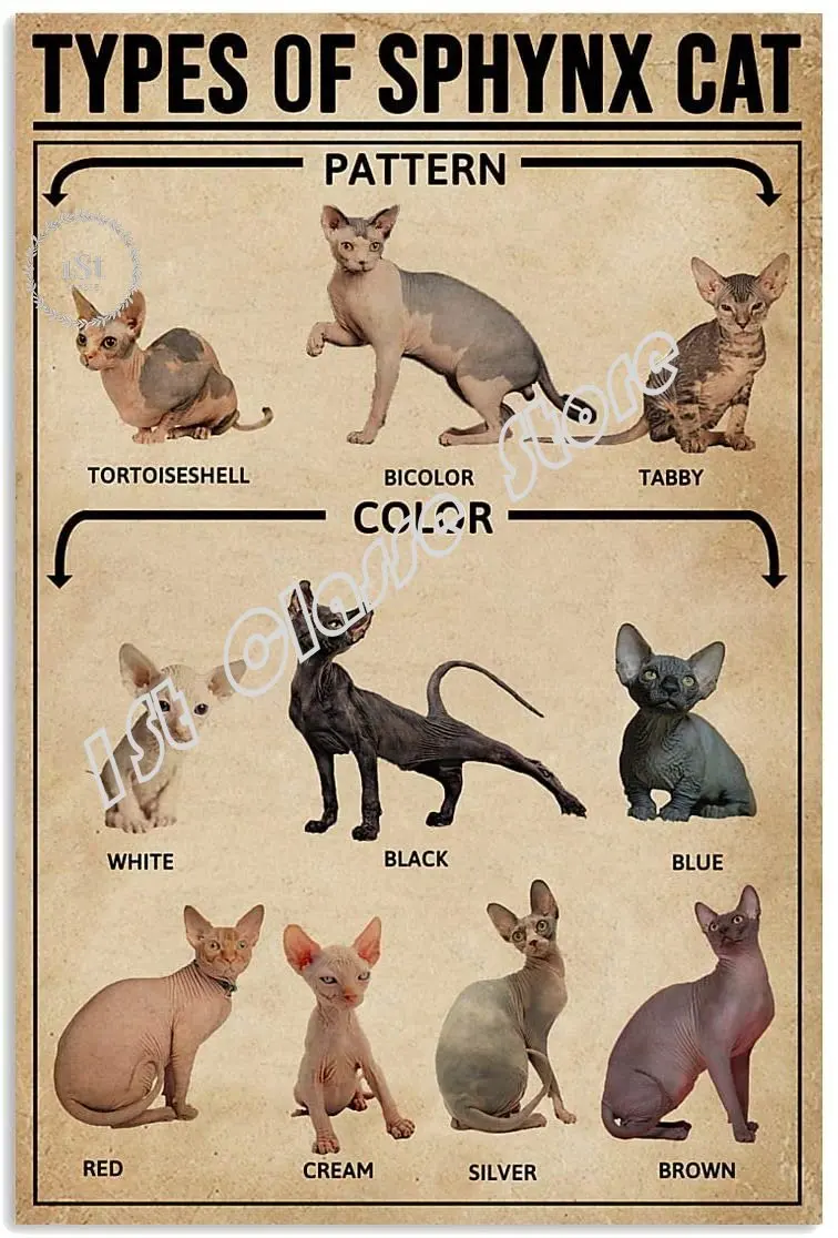 

Funny Metal Sign Love Cat tin Sign Types of Sphynx Cat Art Poster tin Sign Metal Home Bathroom Decor Animal Decor Man Cave