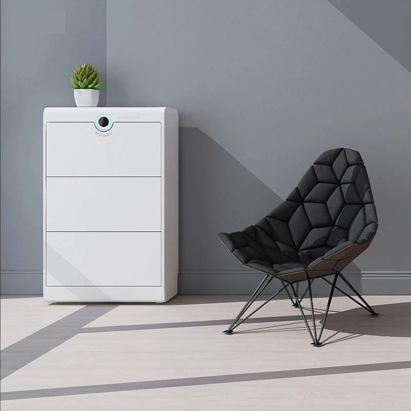 

rootsense Disinfection shoe cabinet moisture-proof disinfection sterilization deodorization shoe cabinet care machine