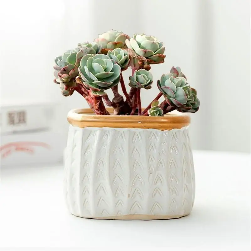 

Простое и дышащее Горшечное растение для фотографий в скандинавском стиле многофункциональное для подарков бонсай горшечная Цветочная ва...