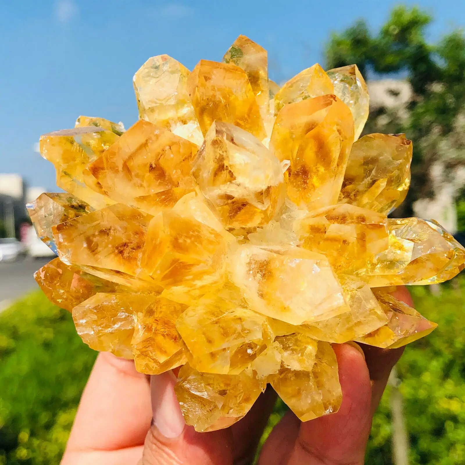 

Rare new yellow phantom quartz crystal cluster specimen