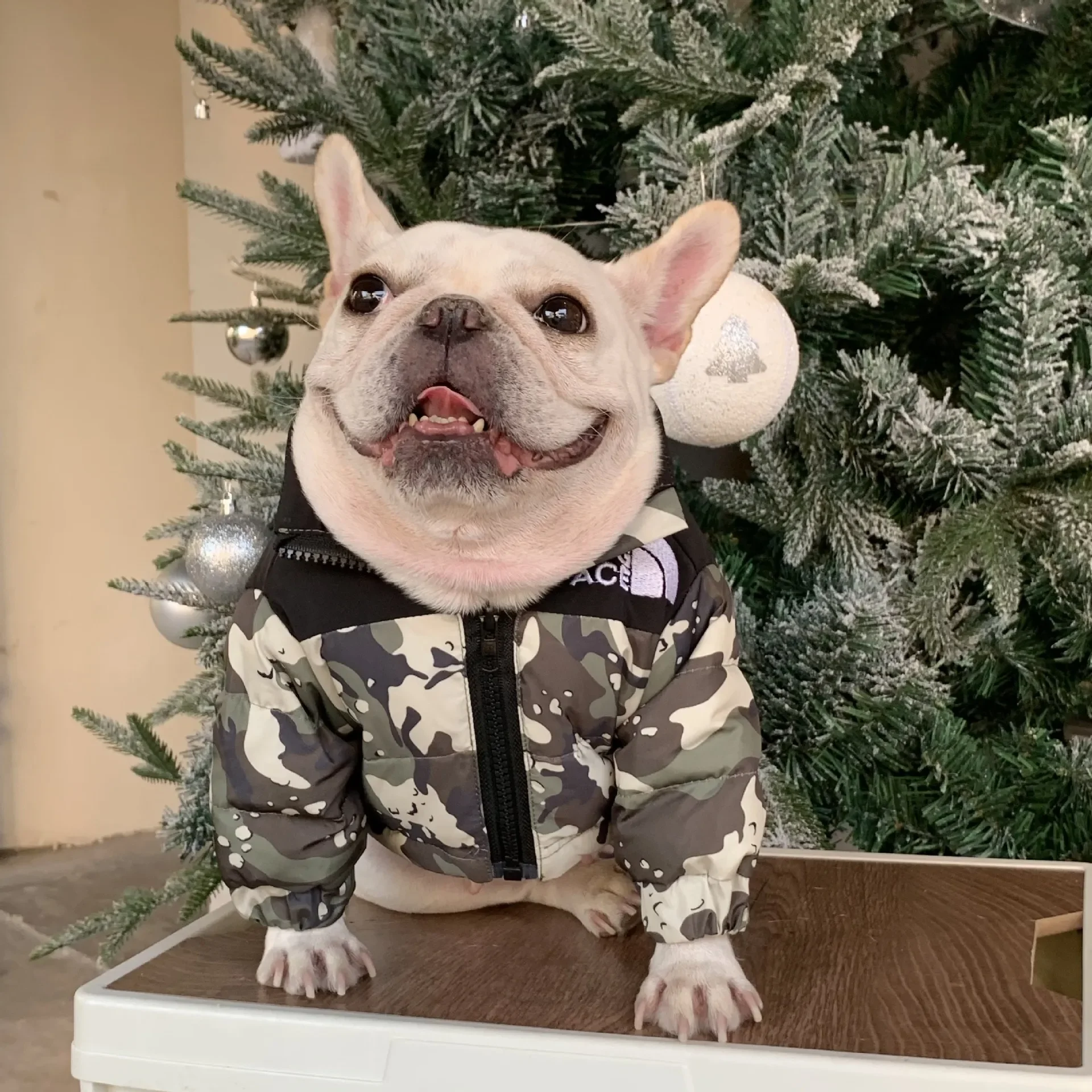 

Winter Pet Dog Clothes for Small Dogs Pets Clothing French Bulldog Warm Down Jackets for Yorkies Camouflage Coat Pug Vest PC1806