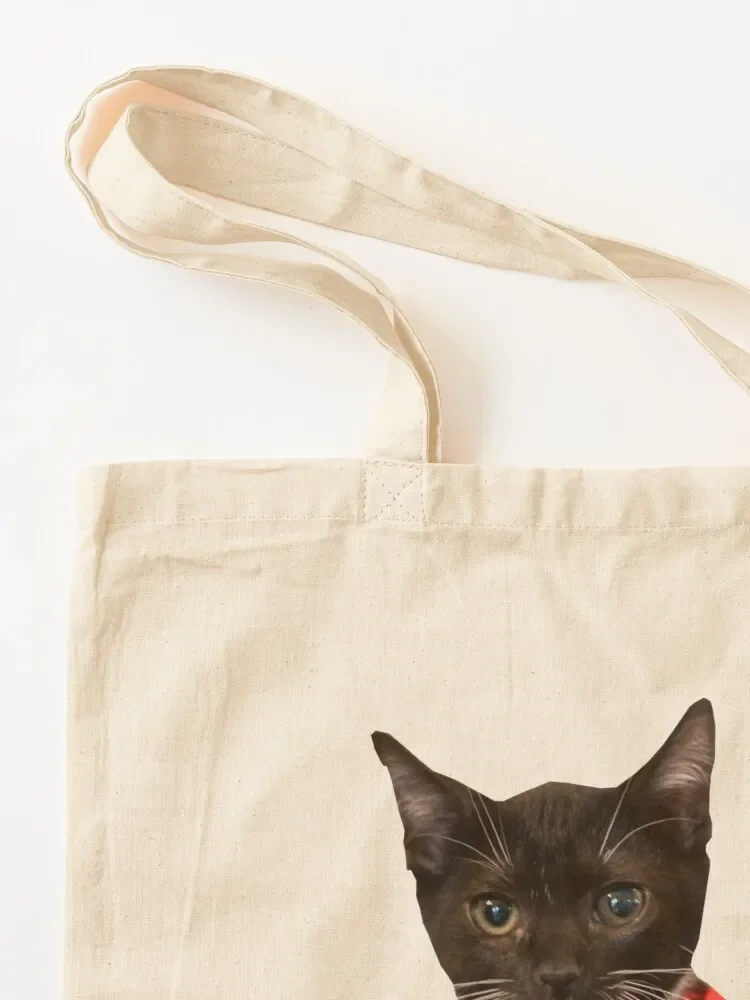 Никогда не бойтесь Казу здесь! Большая сумка многоразовые сумки для покупок