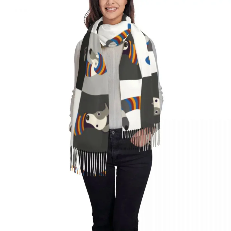 Рисунок 2 - Смешная мультяшная накидка на собаку