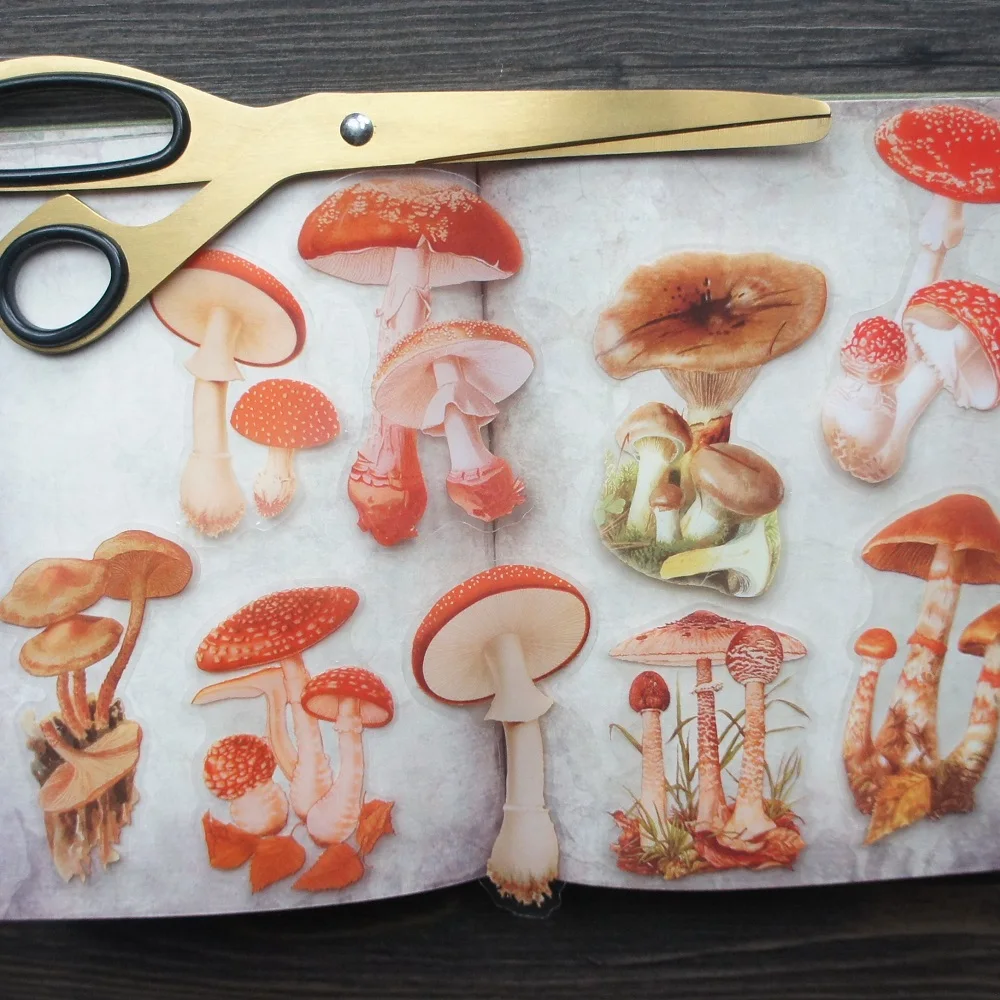 38pcs Picking Red Mushroom Style Transparent Sticker Scrapbooking DIY Gift Decoration Tag