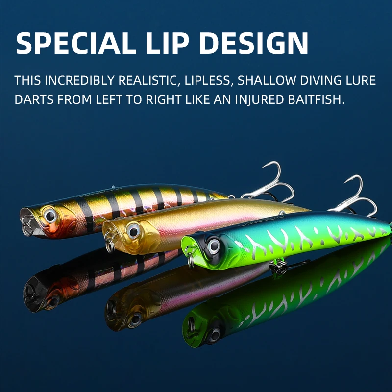 ASINIA Новое поступление 100 мм 10 г горячая модель топвотер приманки жесткая приманка