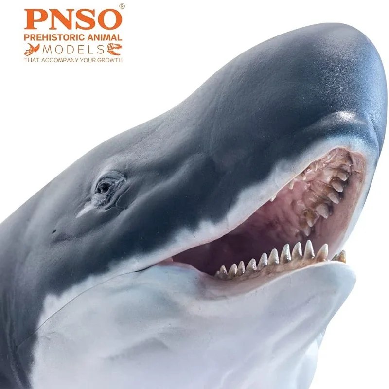 

PNSO Эрена ливатан морское животное научная художественная модель игрушка для мальчика