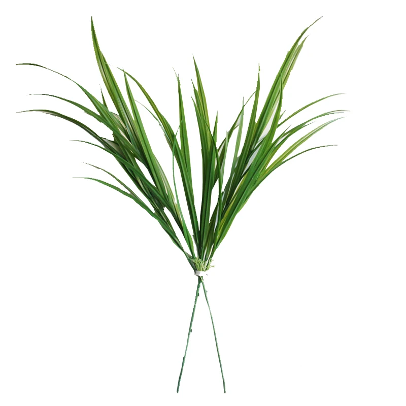 3-крашеная Магнолия цветок орхидеи травяная линия рассады травы широколистная