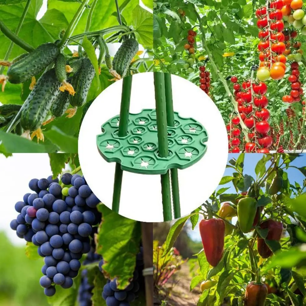 Многоразовый держатель для садовых растений 2/3/5 шт.