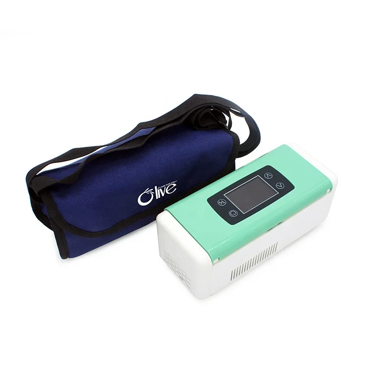 

Mini medical refrigerator and travel medical refrigerator for insulin cooling