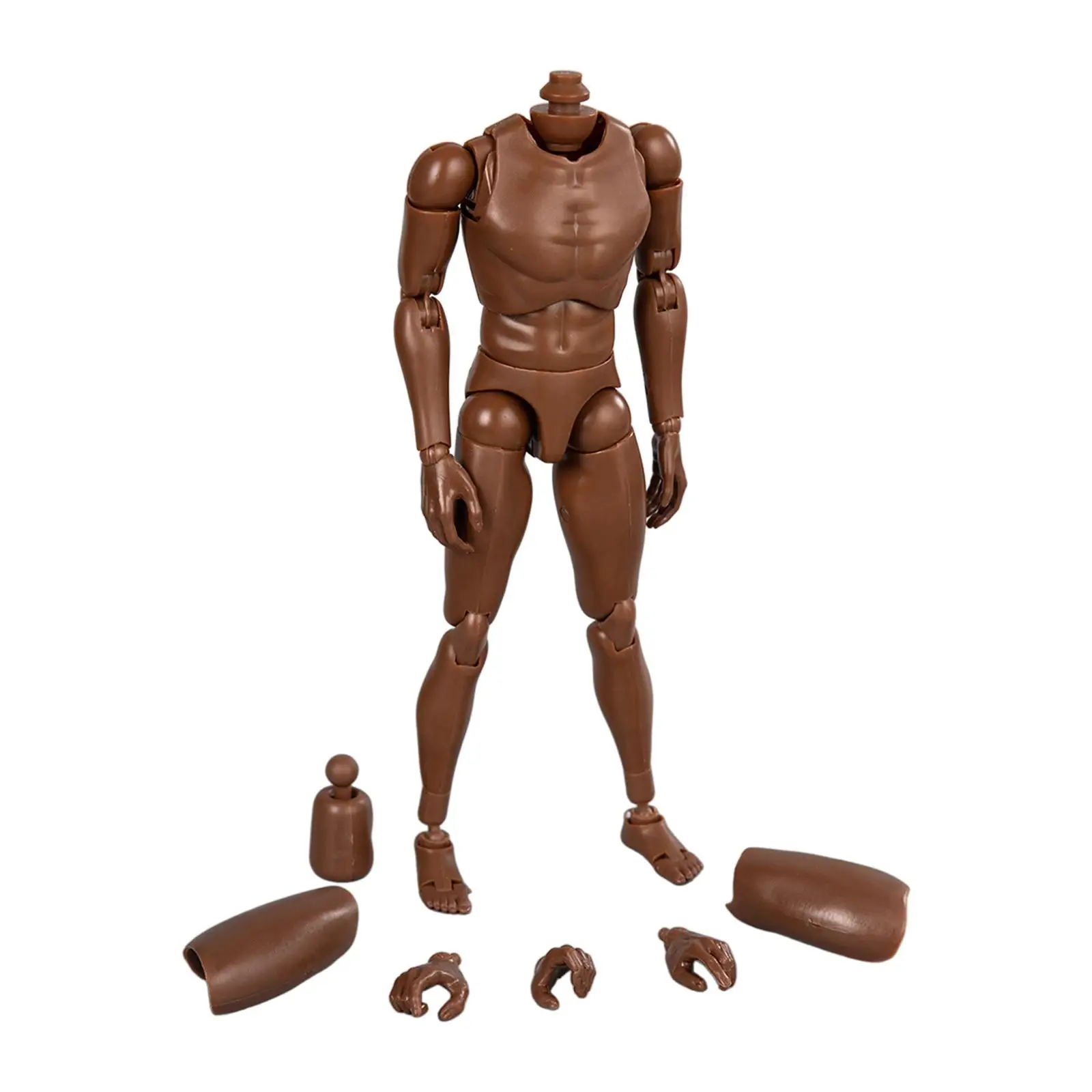 

1:6 Scale Male Muscular Body Miniature Collectible Flexible Detachable Toys Doll Narrow Shoulder for Photography Arts Drawings