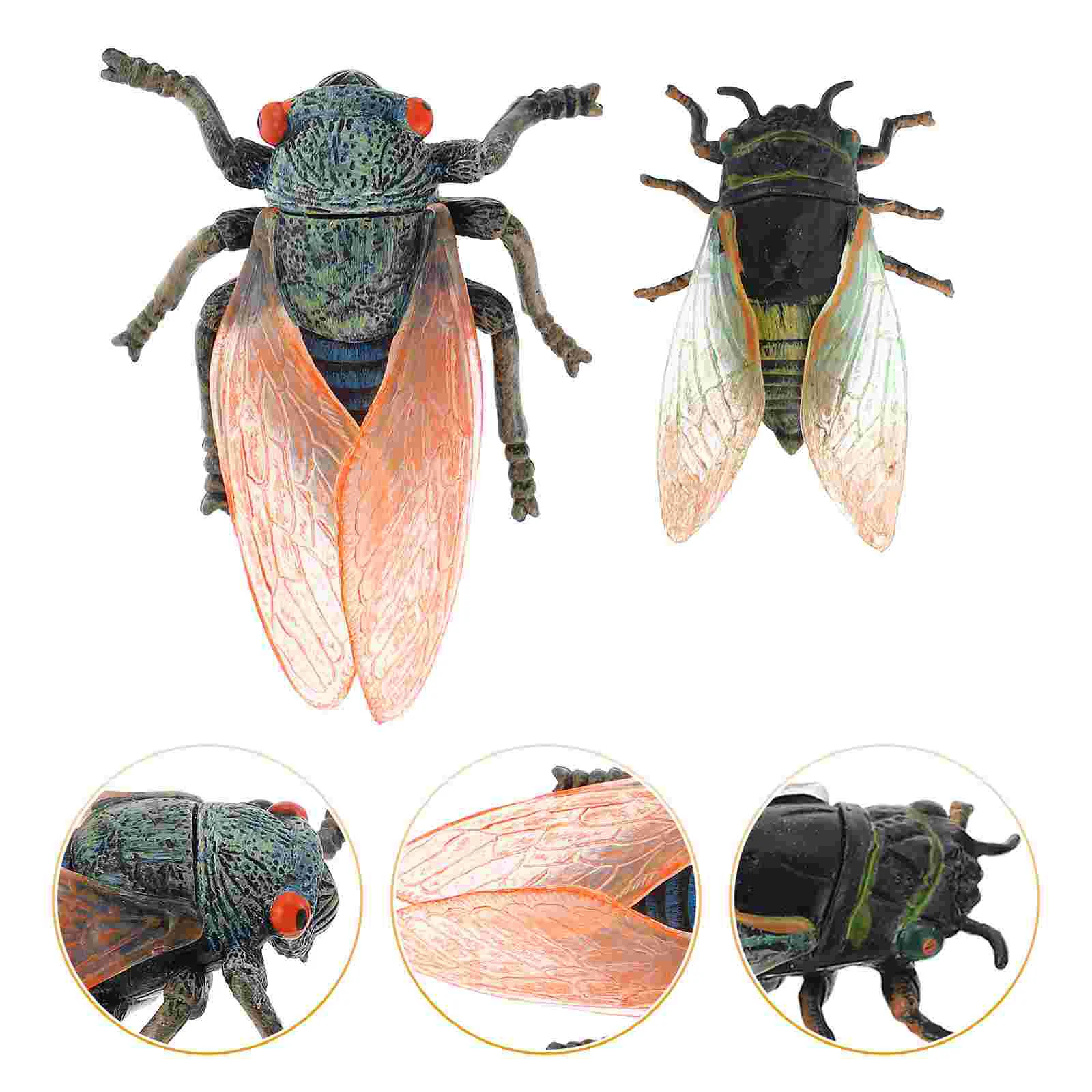 

Insect Toy Toys Figurines Cicadas Kids Simulation Lifelike Animal Model Bug Figures Sculpture Fakechild Incect Recognition