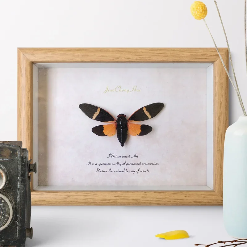 Цветная Цикада знает рамку ретро-картина украшение для дома настенное