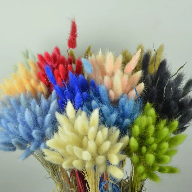 

50pcs Rabbit Tail Natural Dried Flower Pampas Grass Bunch Real Bouquet Flower for Photo Props Flores Home Wedding Decoration