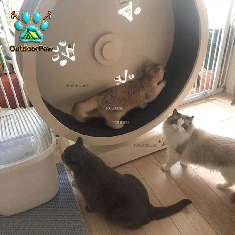Фото Деревянные игрушки для кошек в скандинавском стиле, дизайнерские аксессуары для питомцев, роллер-тренажер для кошек, товары для зоомагазинов, домашний бесшумный тренажер-беговая дорожка для кошек №1