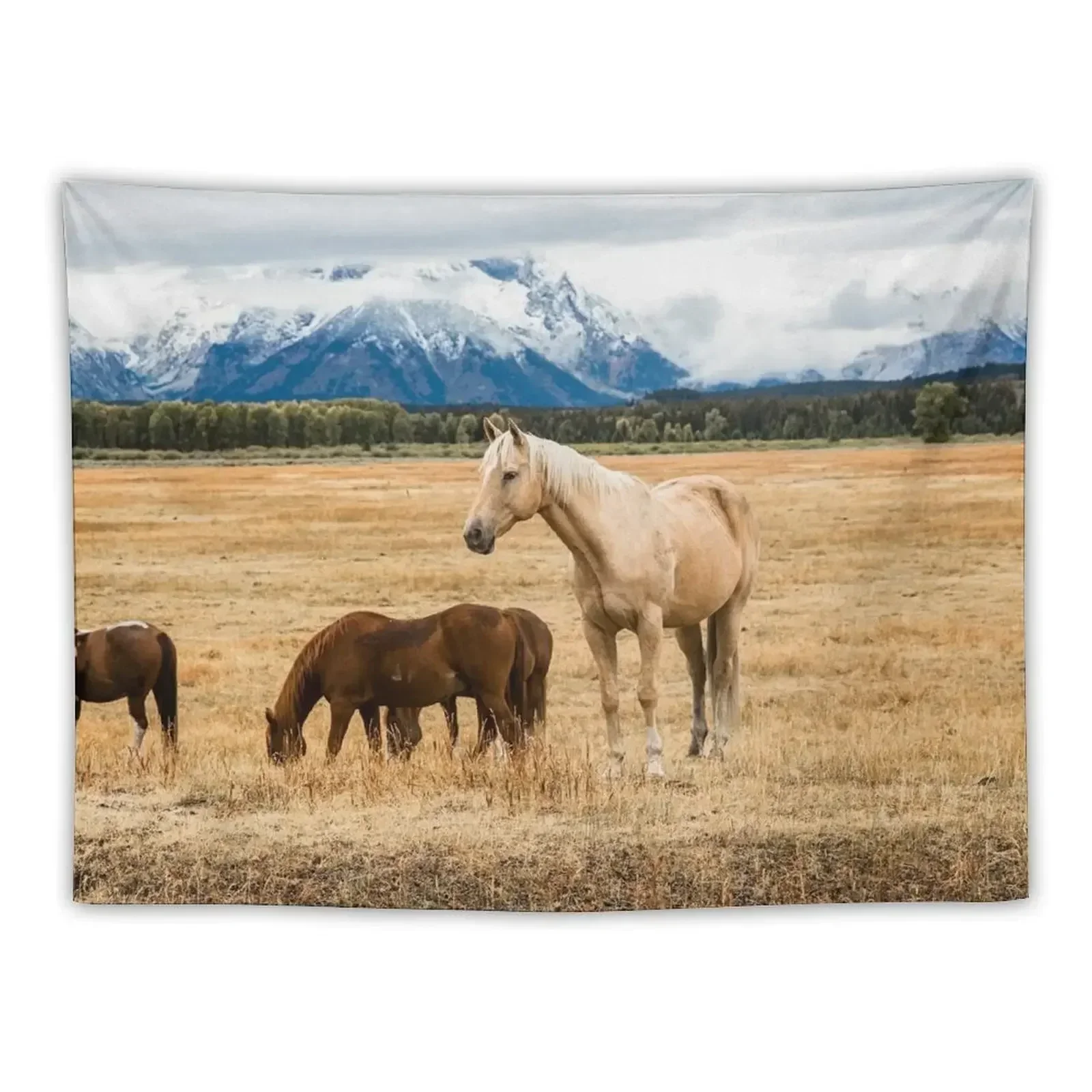 Горная лошадь - Лошадь Паломино на осень в национальном парке Гранд Тетона