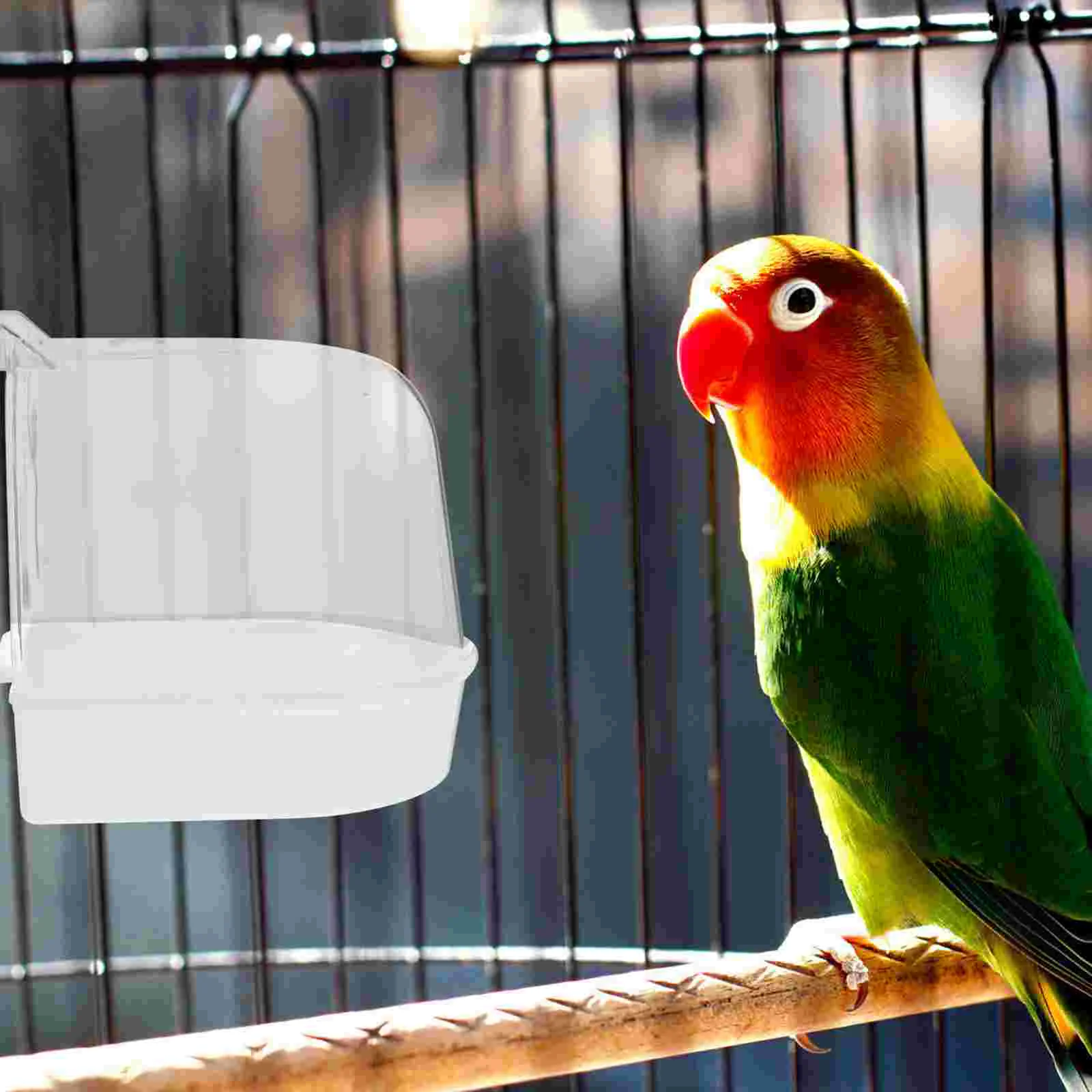 

Bird Bath Cagebox Accessories Parrot Bathtub Parakeet Birds Covered Bowl Parakeets Canary Tub Shower Water Cockatielbaths Cages