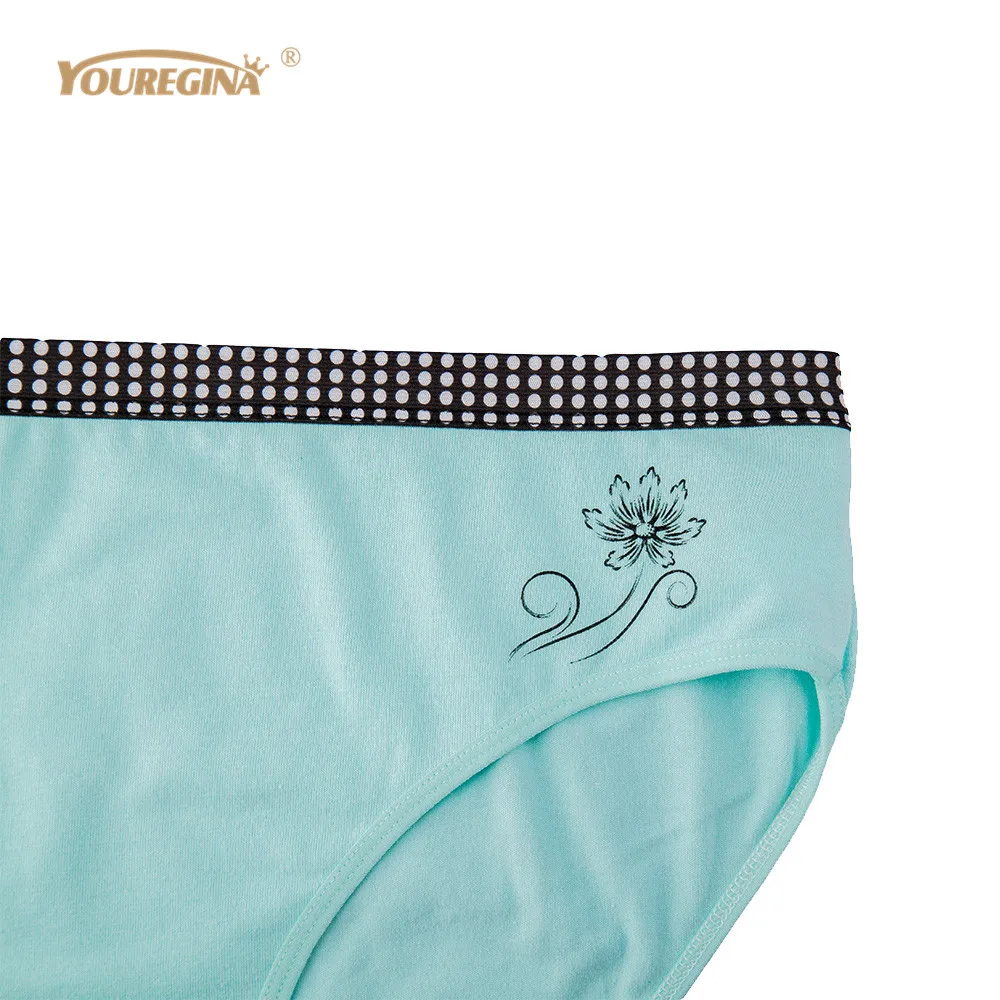 YOUREGINA Lady Panties Women Underwear Plus Size Cotton High Waist Briefs Ladies Panties Knickers Intimates for Women 6 pcs/lot