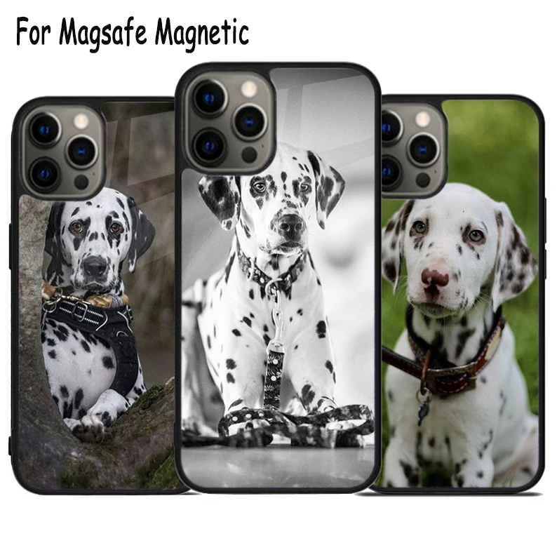 Далматинская собака Беспроводная зарядка Magsafe телефонный чехол для iPhone 15 16 14 13 11 12