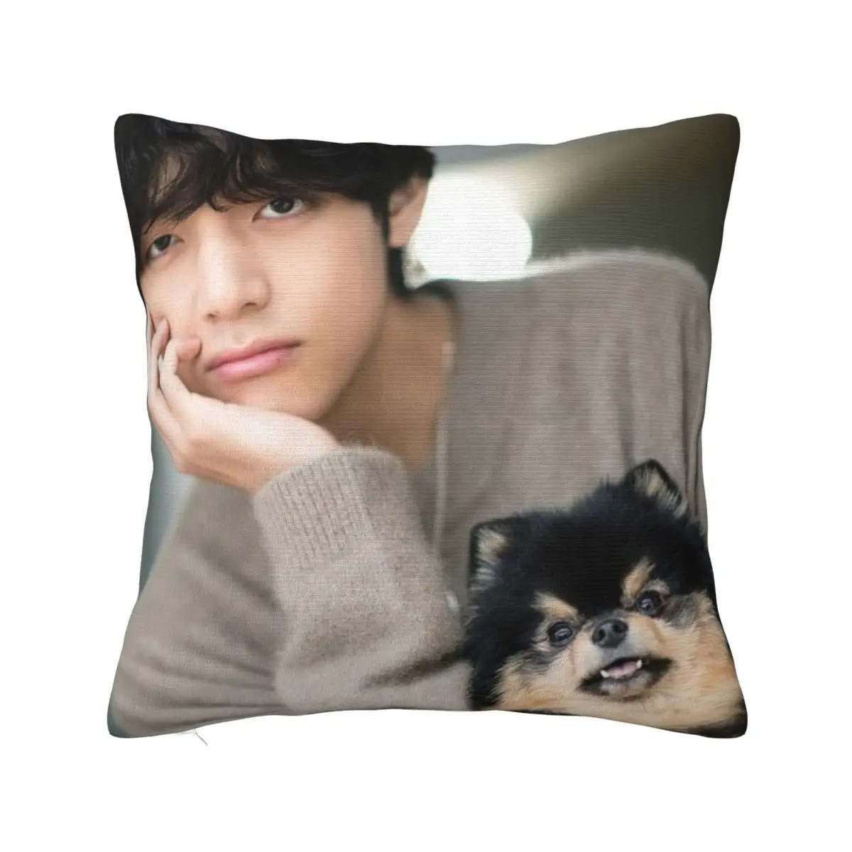 Подушка V And Yeontan A чехол