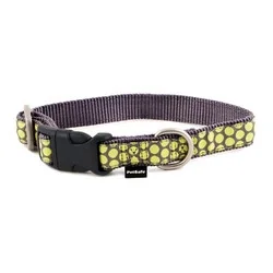 

Finery Quick Snap Collar (Medium, Dotted Bliss)