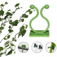 invisible wall rattan clamp plant climbing wall self adhesive fixator vine buckle hook fixture fixture sticky hook plant support