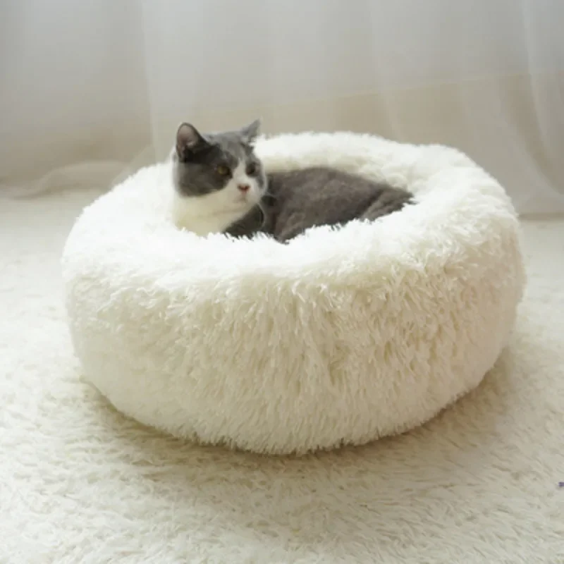 Эль otoño estáراق государственpuede estar lejos del invierno? Tu mascota интеллектуальное удобное и