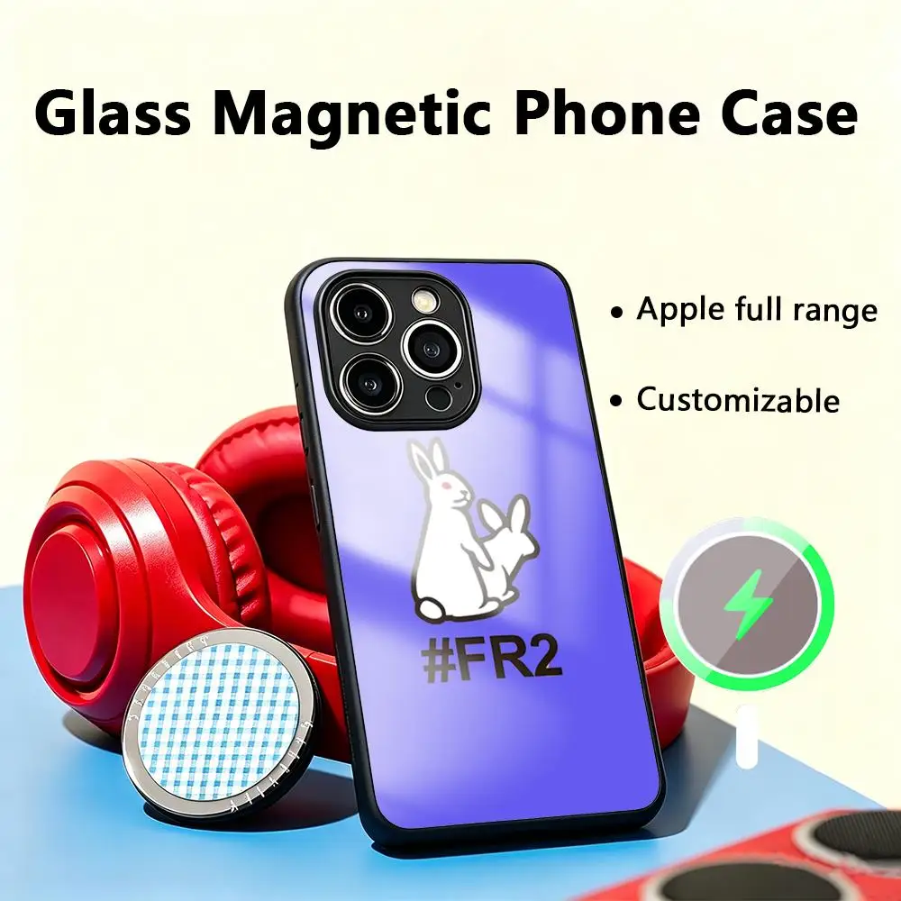 Фото Чехол для телефона LOOG Hot F-Fxxking R-Rab-bits для iPhone 17 Air, 16, 15, 14, 13, 12, 11 Plus, Mini, Pro, Max, стеклянный магнитный чехол №1
