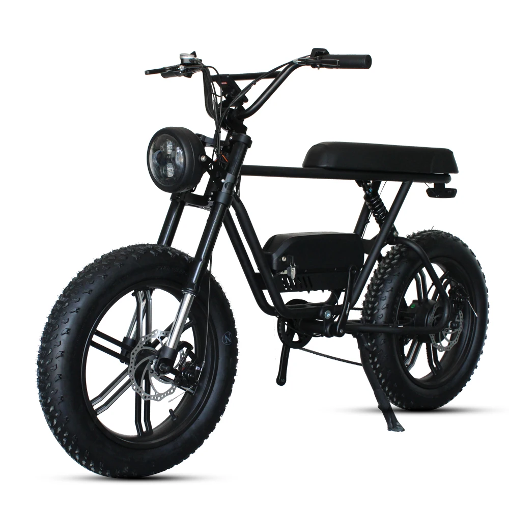

Fashion 750W 1000W Electric Motorcycle With Suspension Cheap Electric Bicycle
