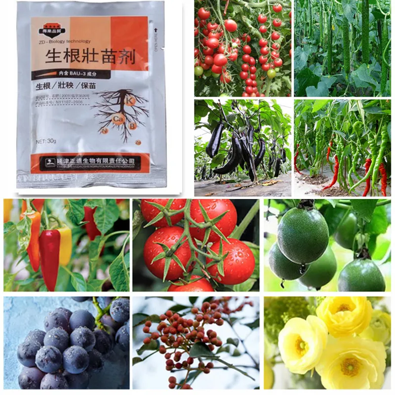 30 г цитокининовые растительные гормоны улучшают Овощной лучше задерживающий