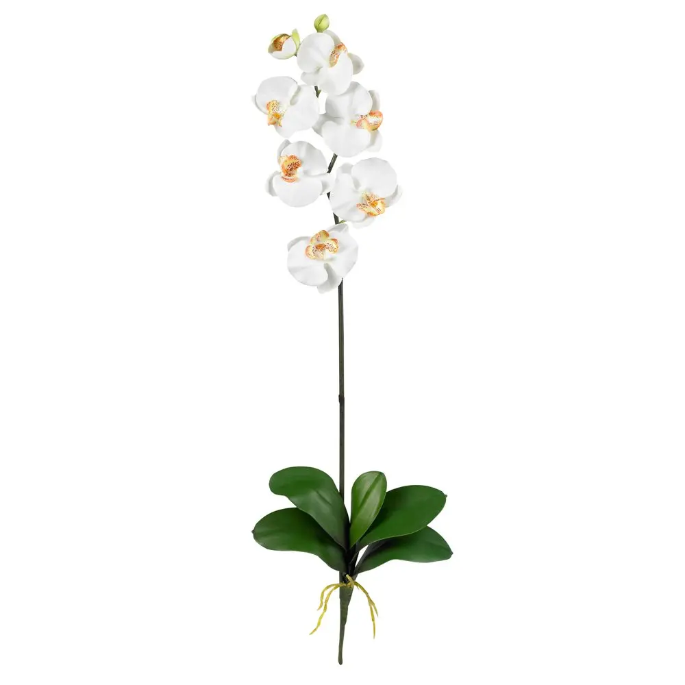 

Phalaenopsis Stem Artificial Flowers (Set of 6), Beige