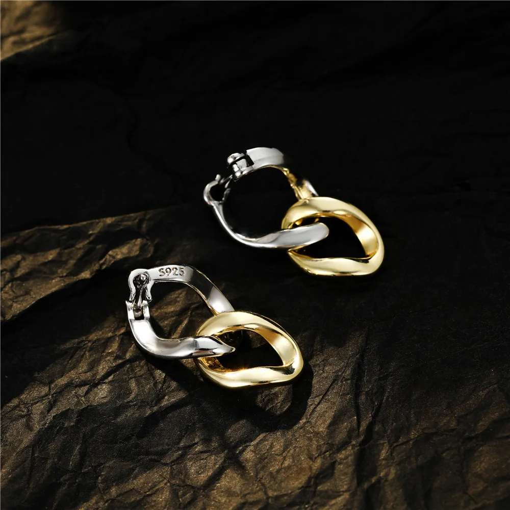 Chain Color Earrings Niche Design Light Luxury Trendy Personality Stud Earrings Classic Luxury Earrings for Women