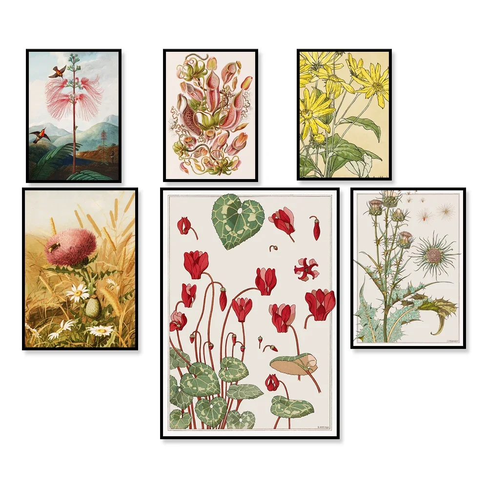 Plant posters pitcher plants cyclamen mushrooms tropical fruits Citrus Magnolia floral print plant wall art poster
