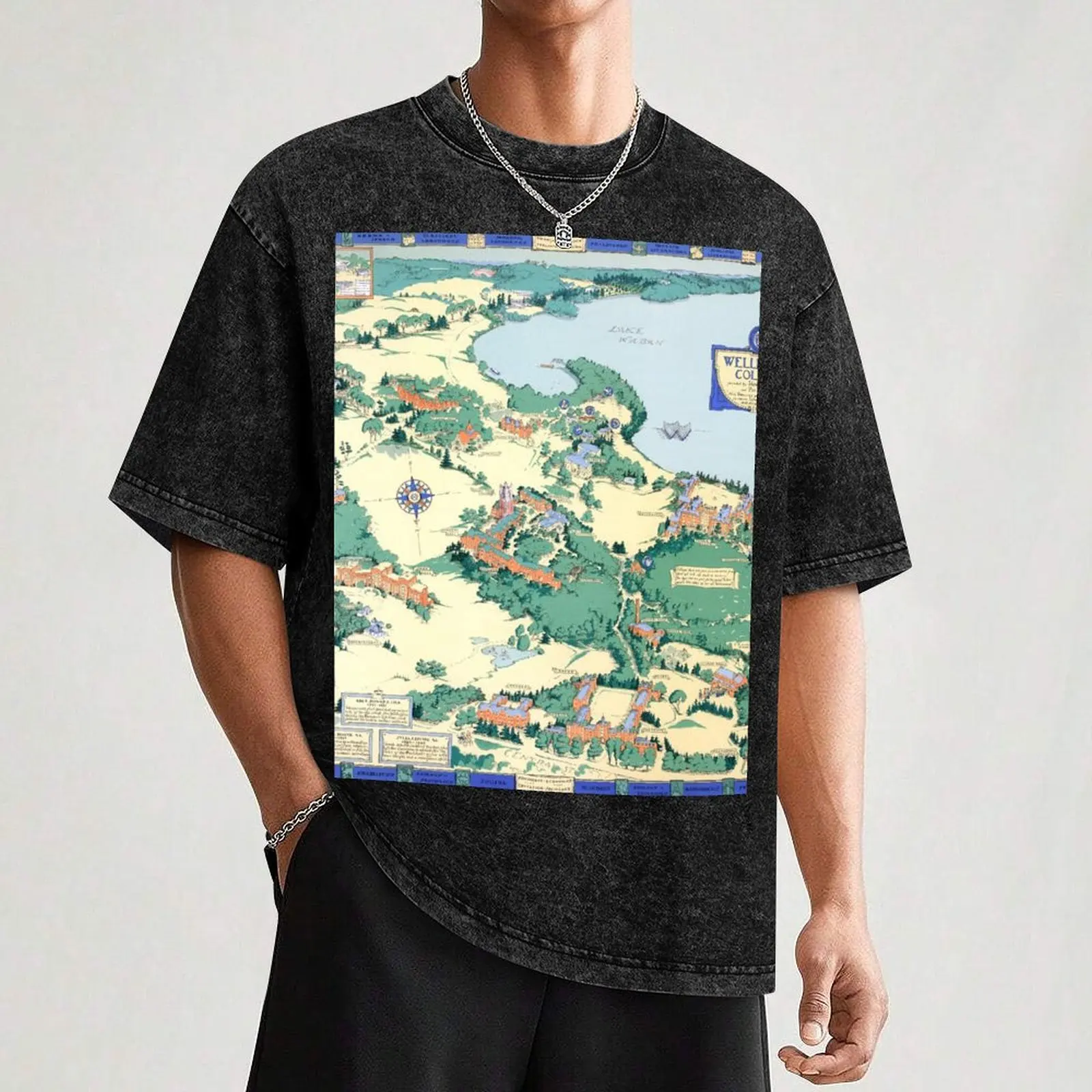 WELLESLEY карта колледжа MASSACHUSETTS декор в общежитии выпускная футболка великолепные