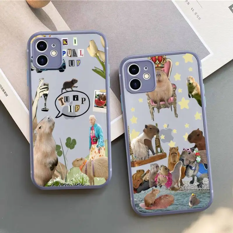 

Capybara Phone Case for iPhone X XR XS 7 8 Plus 11 12 13 pro MAX 13mini Translucent Matte Case