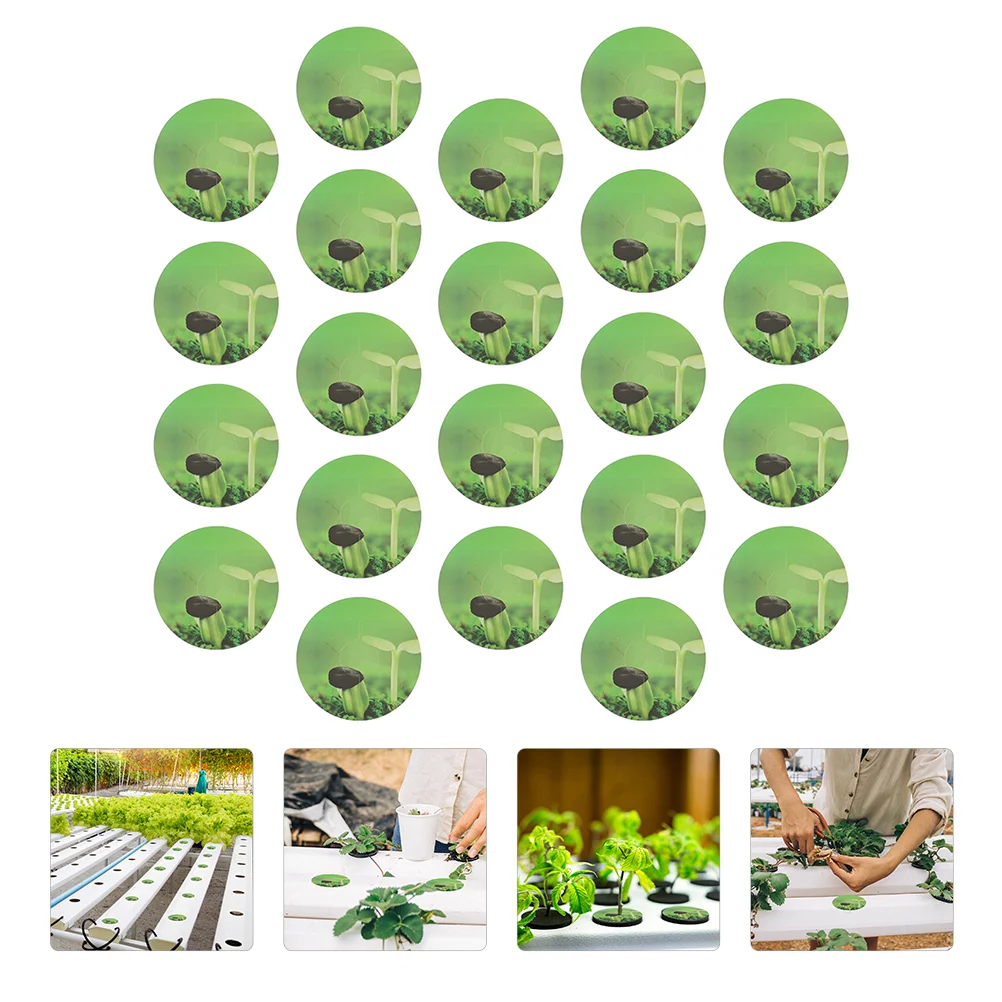 

50Pcs Seedlings Pots Labels PVC Stickers for Mark Plants and Understand Plant Growth