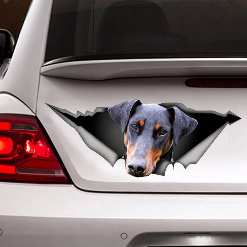 

Doberman decal, pet sticker, dog decal, doberman natural ears, doberman magnet