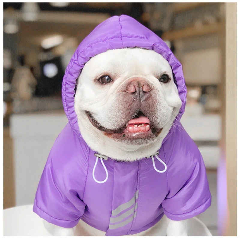

Pet's winter clothes, cotton padded clothes, dog's high-end designer warm clothes, suitable for medium-sized dogs