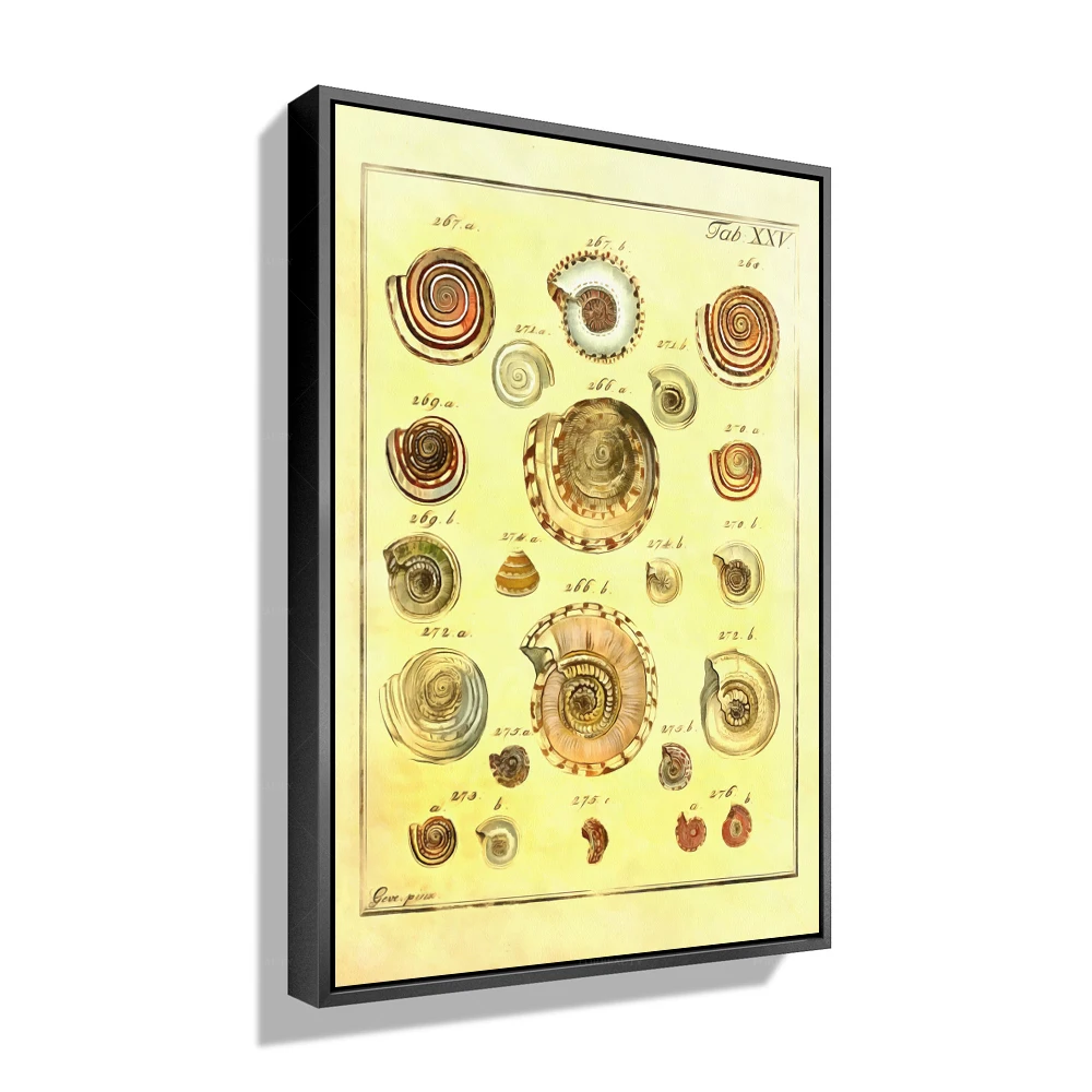 

Распылительная печать Forbeauty Shell, добавьте очарования в ваш домашний декор