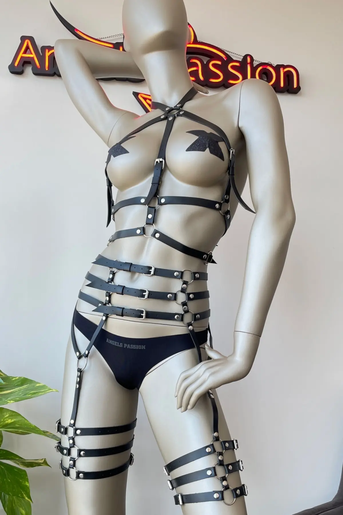 

Fancy Leather Underwear Garter Harness, Slim Slim Bustier Waist Leg Band Set, Fetish Wear, Bondage - PNT524