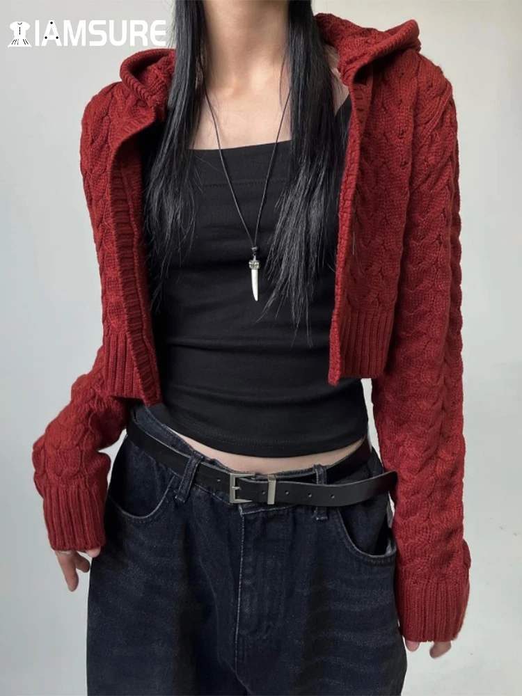 

IAMSURE Christmas Casual Hooded Knitted Cardigans Cropped Basic Solid Long Sleeve Sweaters Women 2022 Autumn Wintter Fashion