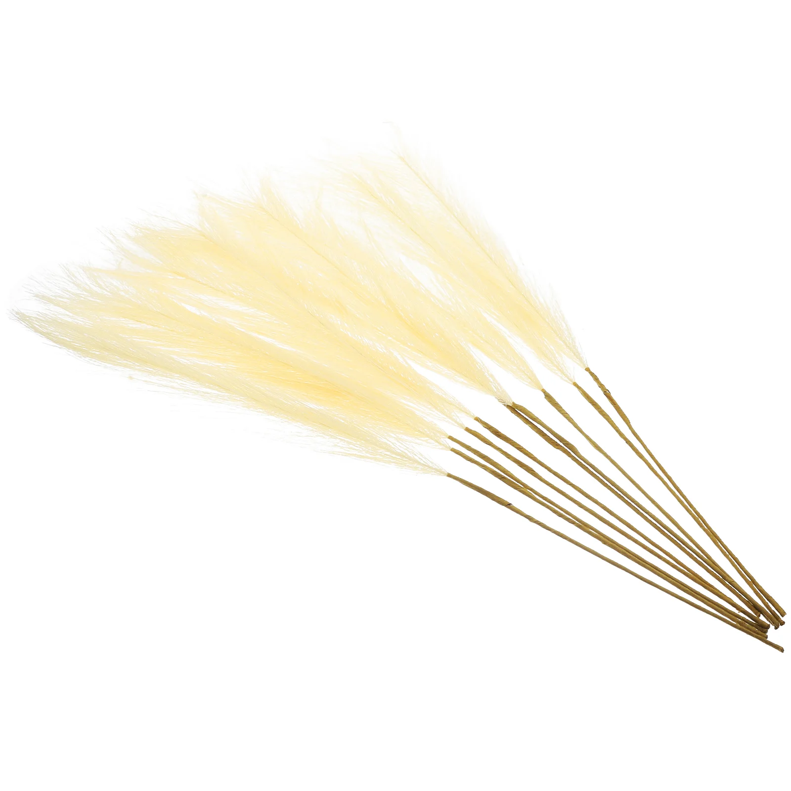 

DIY Vase Filler Flower Arrangement Reed Decor Adorn Pampas Grass Bouquets False