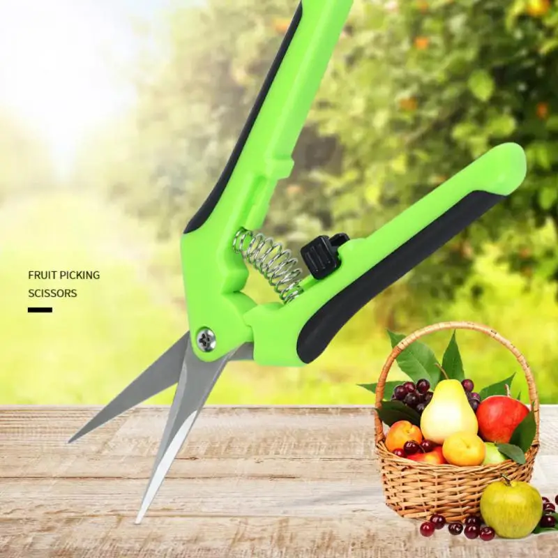 

Shears Fruit Straight/elbow Tools Trees Branches Shears Pruning Multifunctional Branch Whic Flowers Diameter Garden Cut Scissors