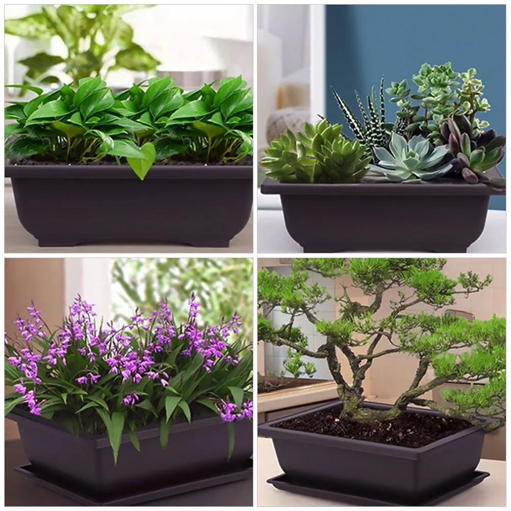 5 шт. прямоугольный цветочный горшок для дома бонсай комнатный с орнаментом