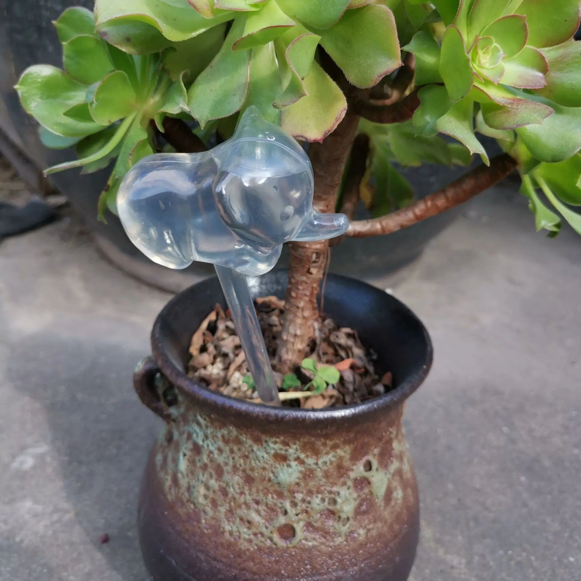 

House/Garden Water Houseplant Plant Pot Bulb Automatic Self Watering Device gardening tools and equipment plant watering