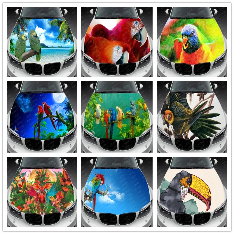 Виниловые наклейки на капот автомобиля с милым попугаем и животным виниловая