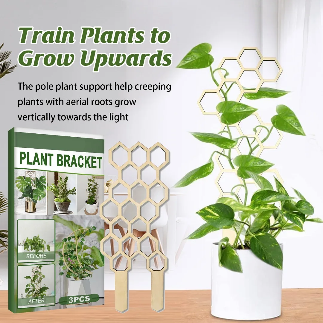 

3 Sets Honeycomb Geometry Moon Grid Plant Climbing Frame Stand for Garden Trellis Plants Support Frame Vine Rack Home Decor