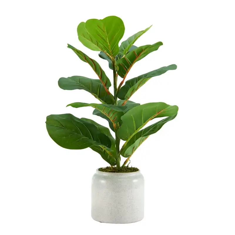 

Fiddlewood Plastic Artificial Plant with Ivory Pot