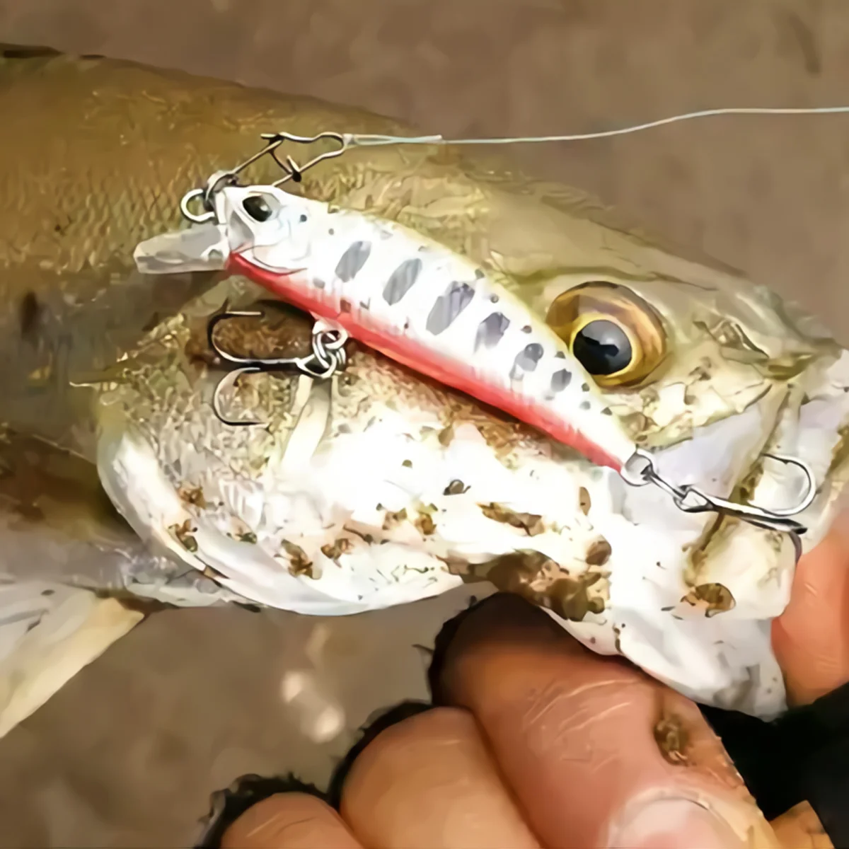 

Lock Snap Swivel Duo Lure Connector Snaps Pin Hooked Rings Quick Clip Connectors Stainless Steel Hook