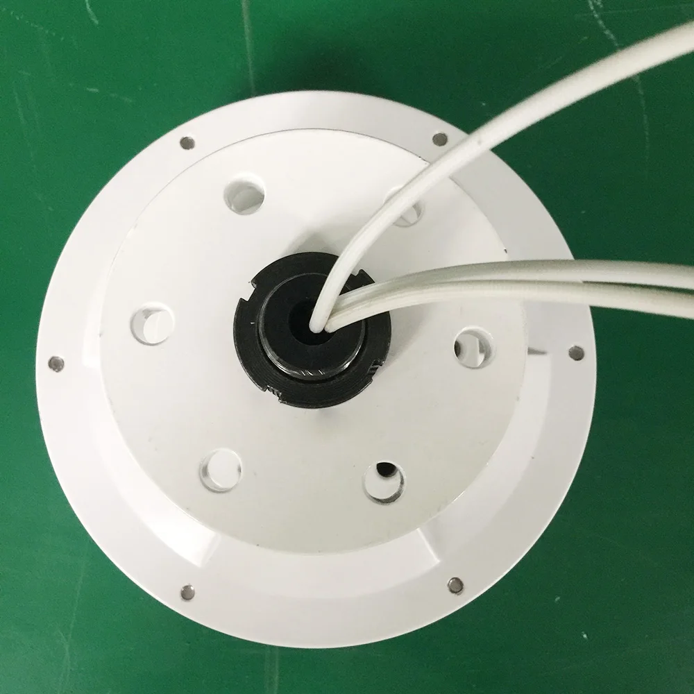 Китайский завод высокая эффективность 1000 Вт 2000 3000 12 В 24 48 беззубчатый генератор с